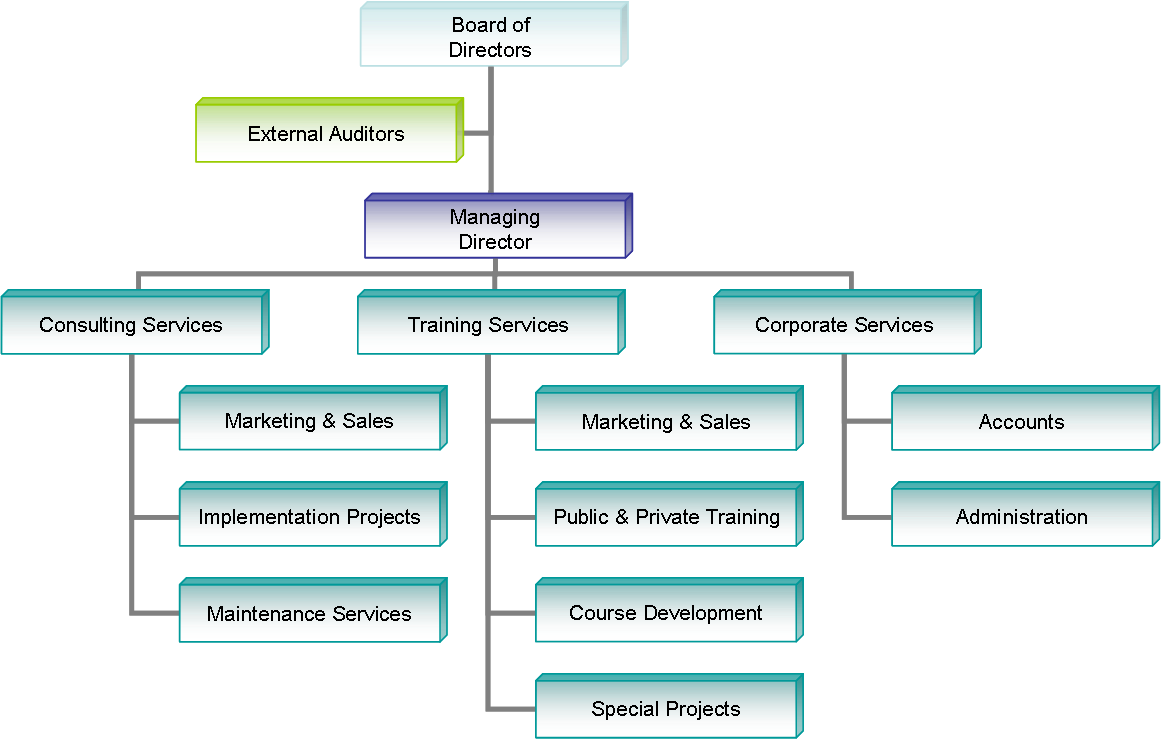 organization-chart-bki-professional-services-sdn-bhd-malaysia